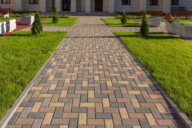 Best Driveway Repair Near Me  in Point Roberts, WA